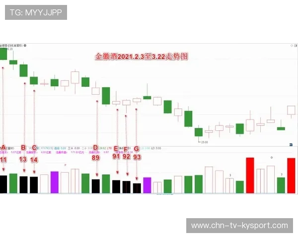 职业联赛的规则更新频率与战术影响